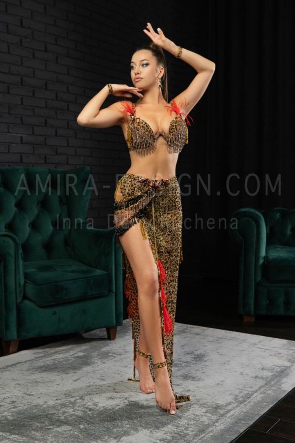 Professional bellydance costume (Classic 251 A_1)